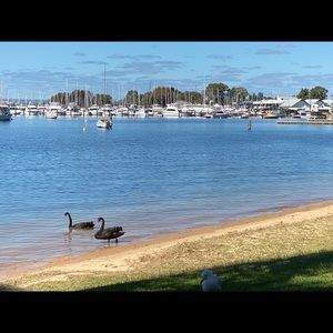 Meet your Posher, Zahraa